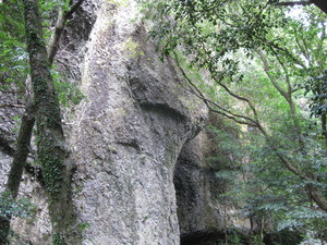画像 123.jpg